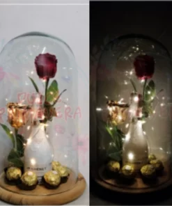 2 Rosas Preservadas Natural + Champagne