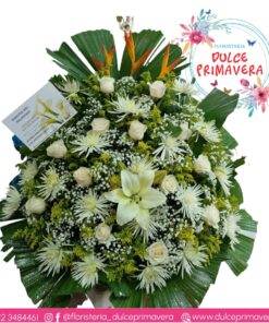 dulce primavera