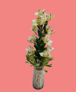 orquidea