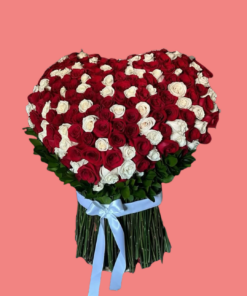 corazon duplex