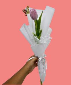 tulipanes